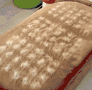 Removedor de pelos™